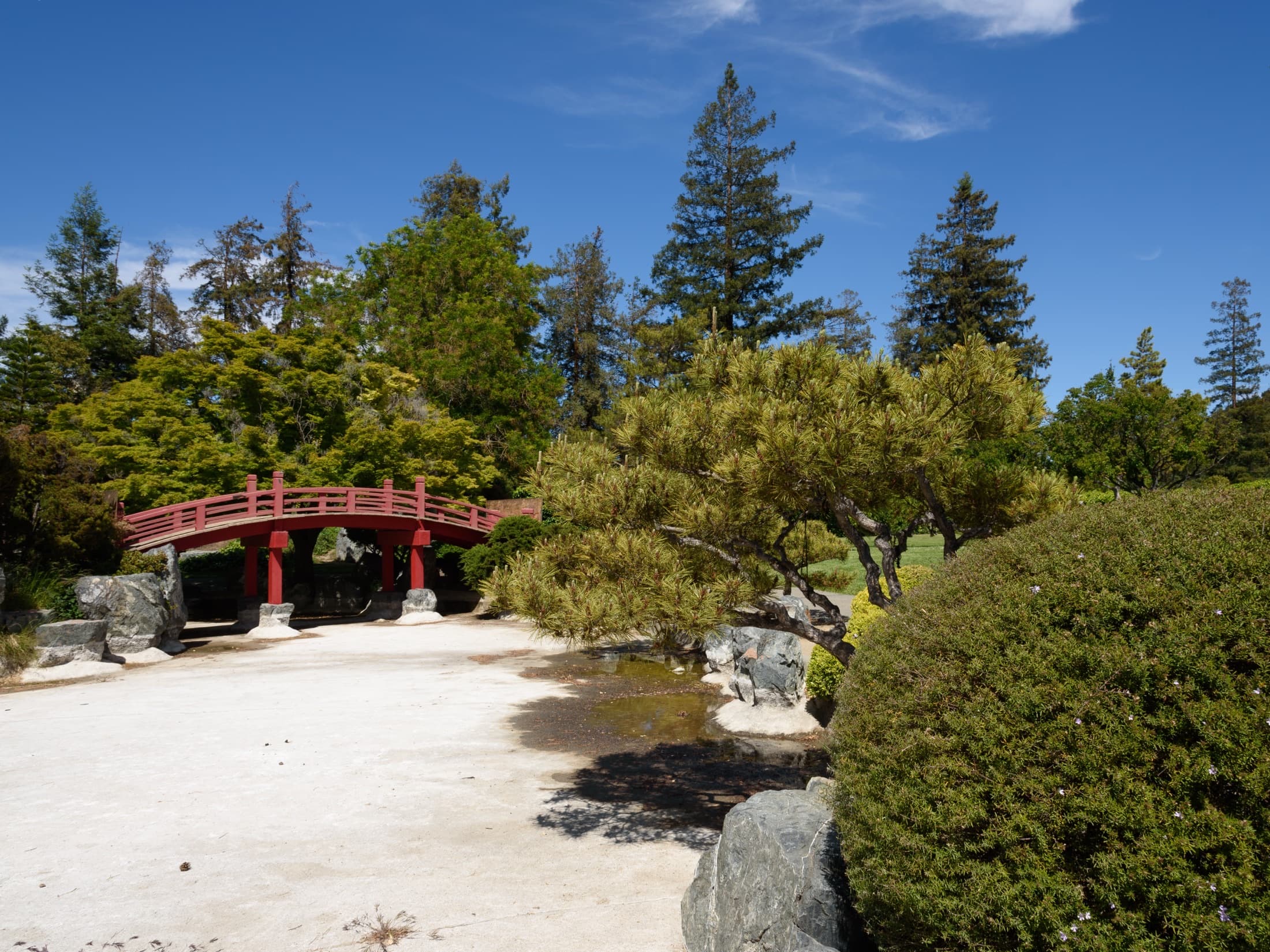 Pond and garden paths at the Japanese Friendship Garden in San Jose