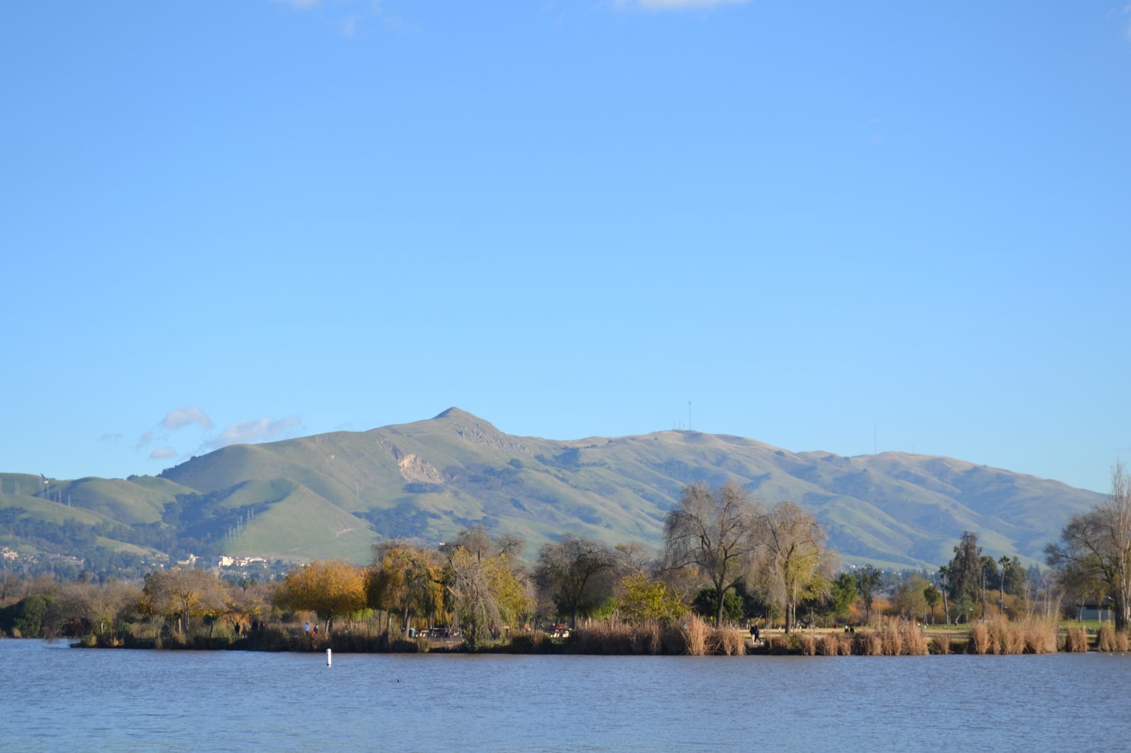 Mission Peak rising over Lake Elizabeth in Fremont under a clear sky