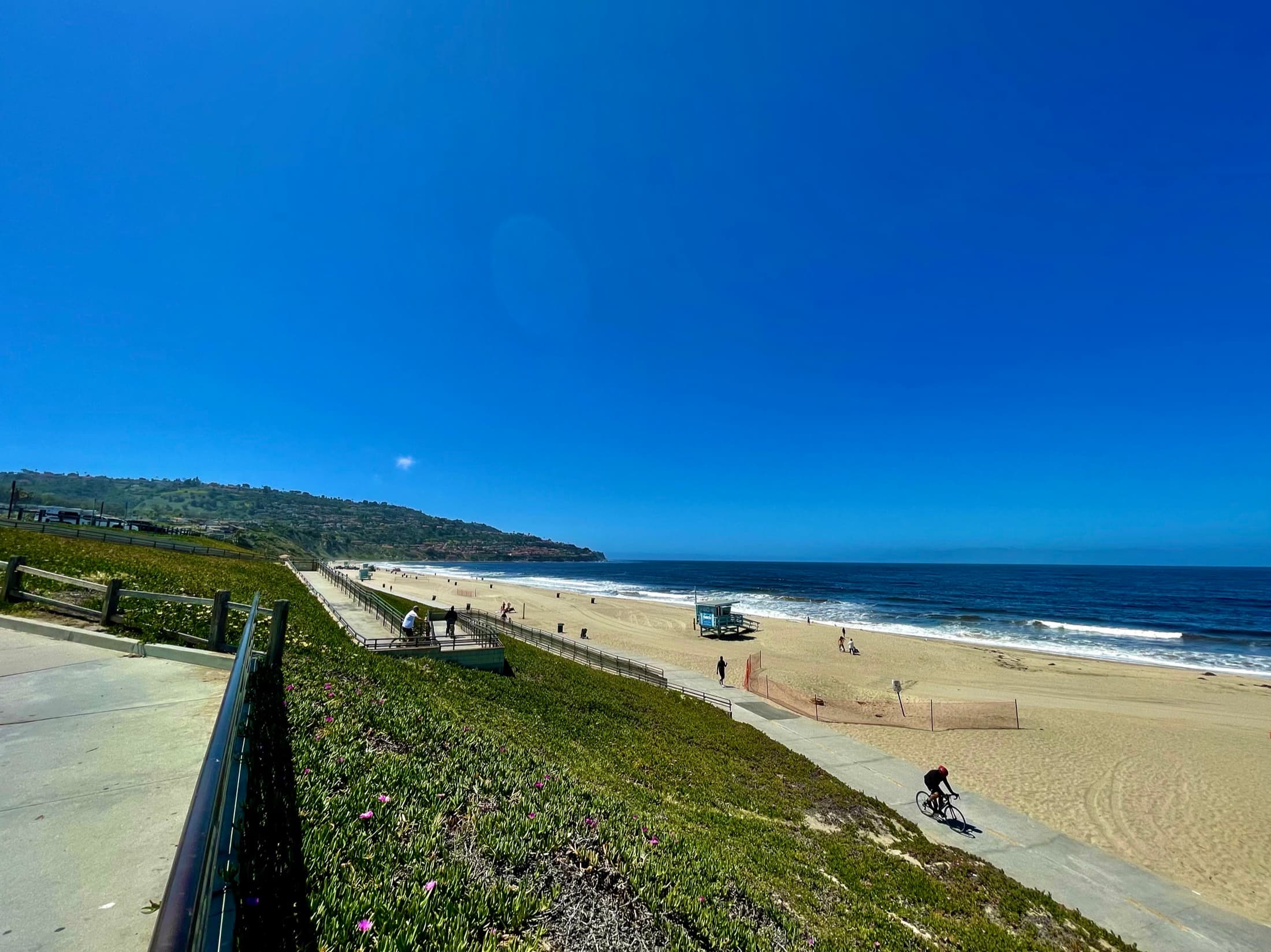 Torrance Beach shoreline viewed from Miramar Park under a clear sky