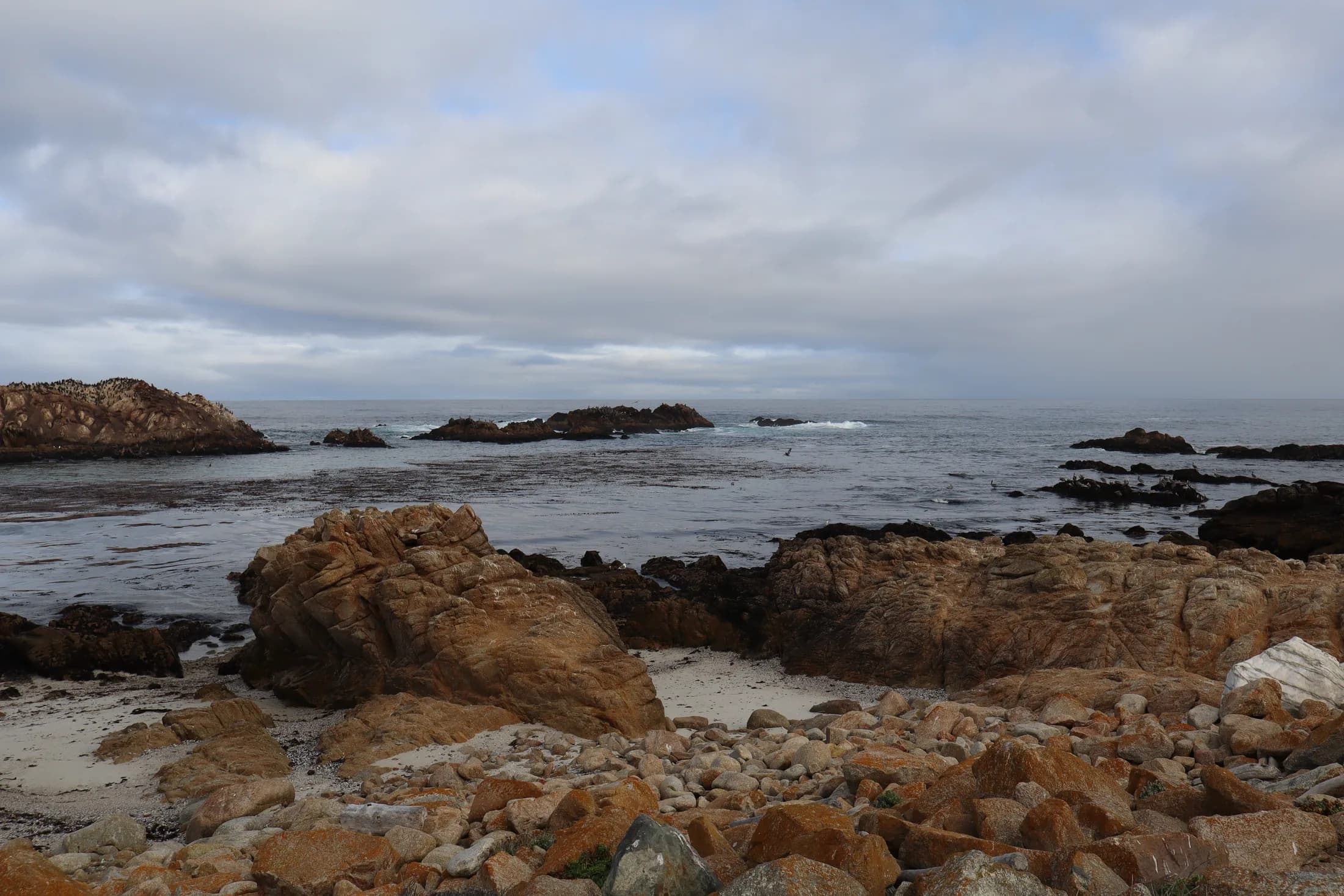 Rocky shoreline, kelp beds, and overcast Pacific horizon along 17-Mile Drive at Pebble Beach
