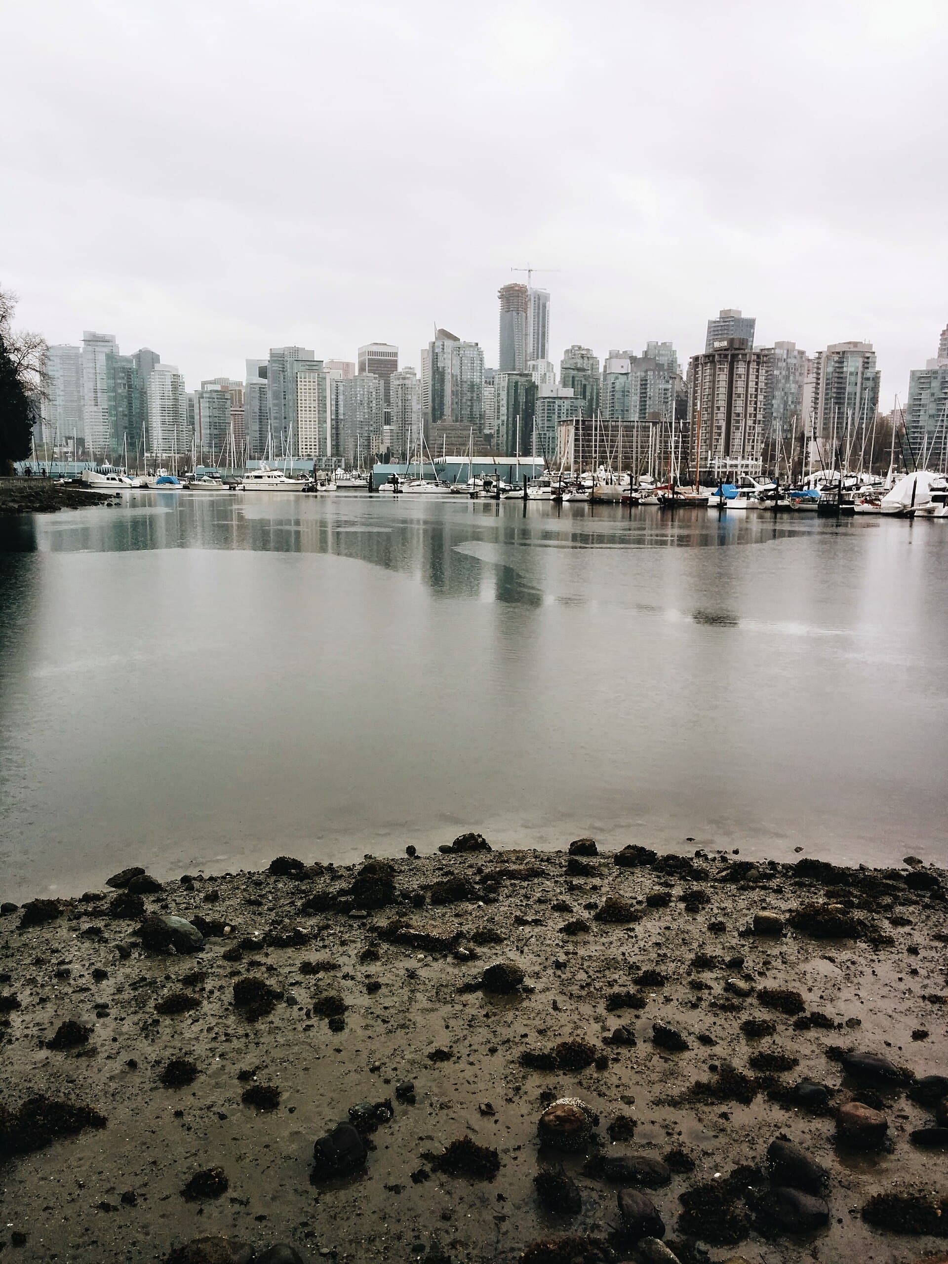 Vancouver skyline and harbor from Stanley Park