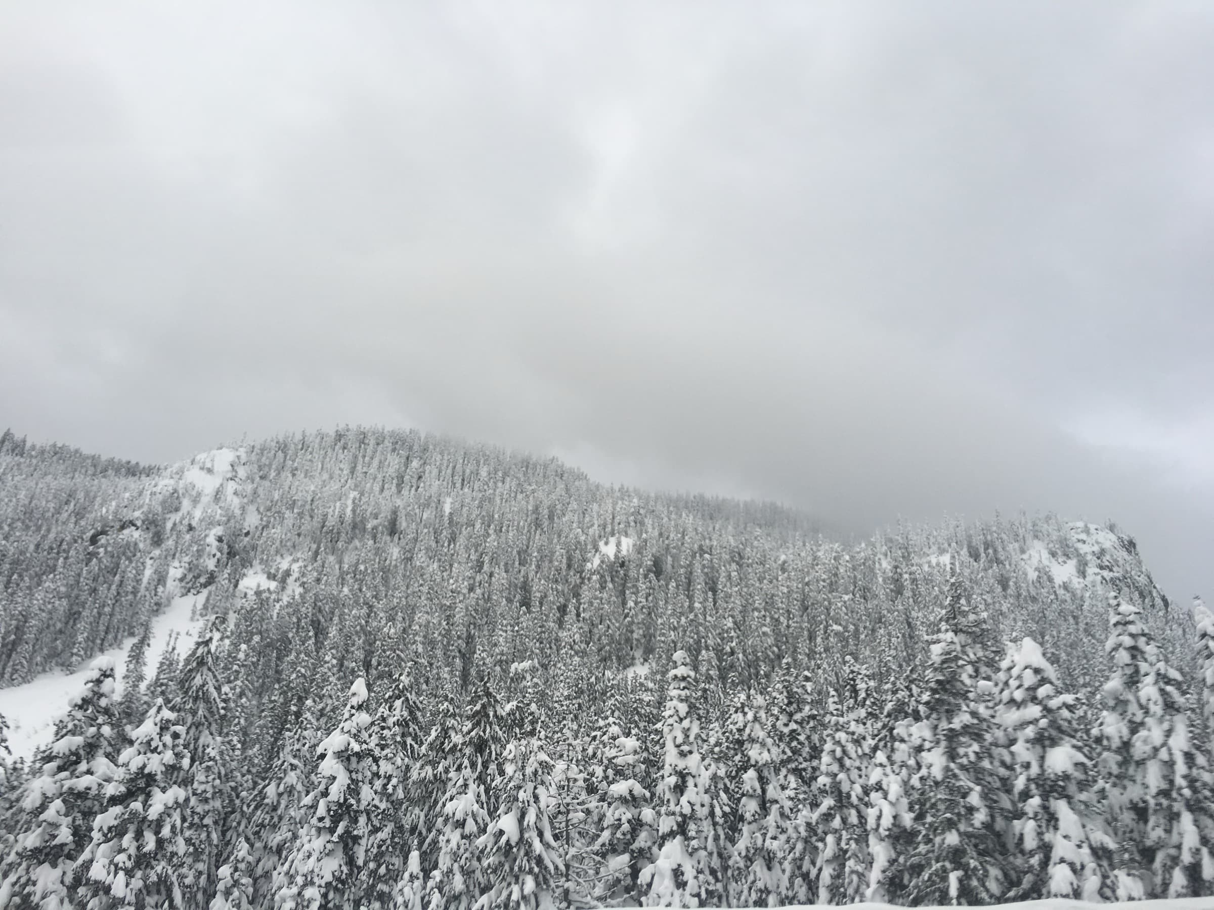 Mountainside along Interstate 90 near Snoqualmie Pass