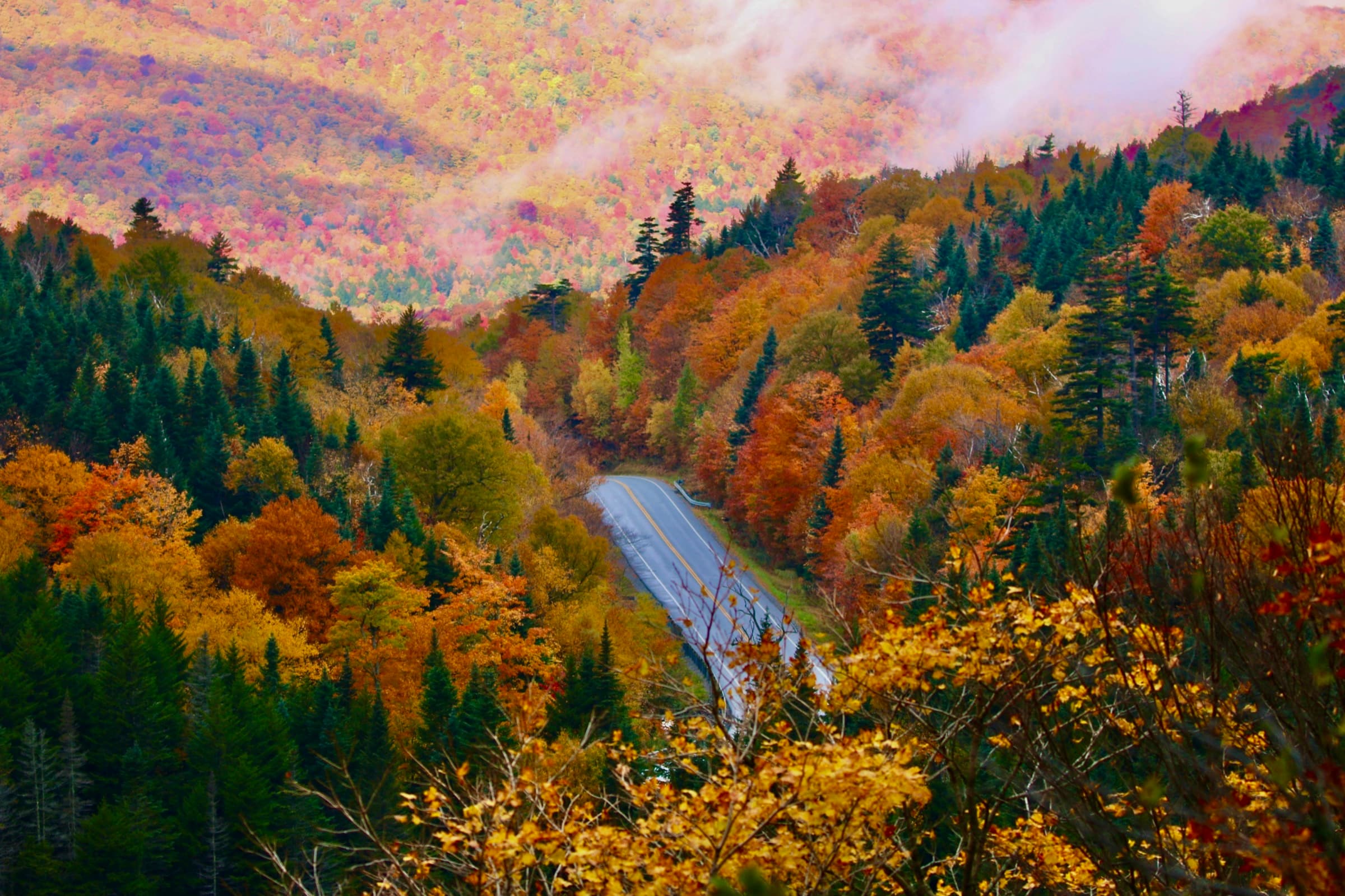 Winding two-lane road through orange and gold autumn forest in Waitsfield, Vermont